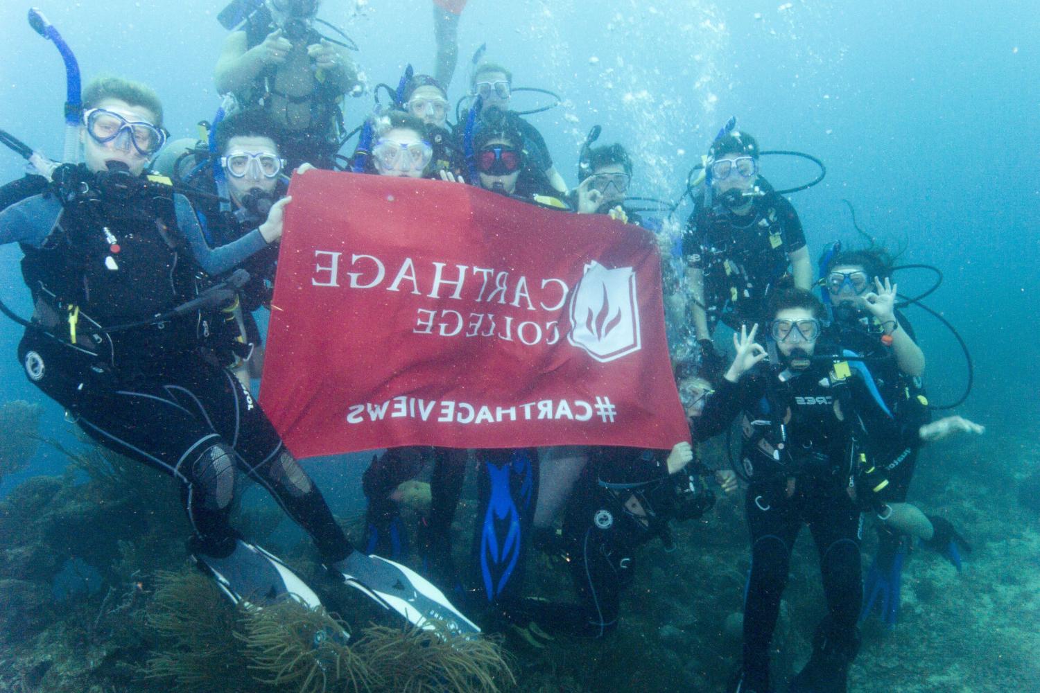 学生们手持<a href='http://9xzjx.goudounet.com'>bv伟德ios下载</a>旗帜，在j学期洪都拉斯游学之旅中潜水.